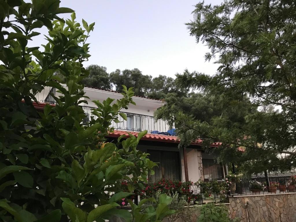 Eleonas Villas PArga